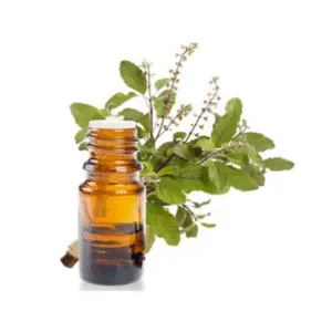 Bột Thảo Mộc Cổ Truyền